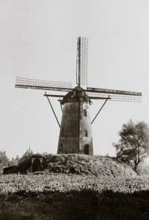 Molen Wilde 1971