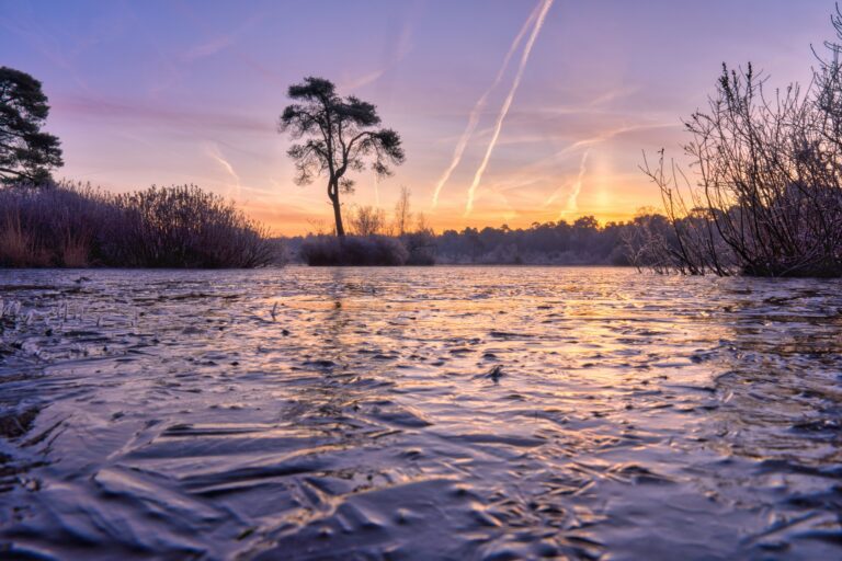 Verslag excursie naar Oisterwijk