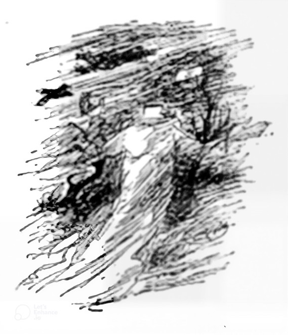 de witte vrouw