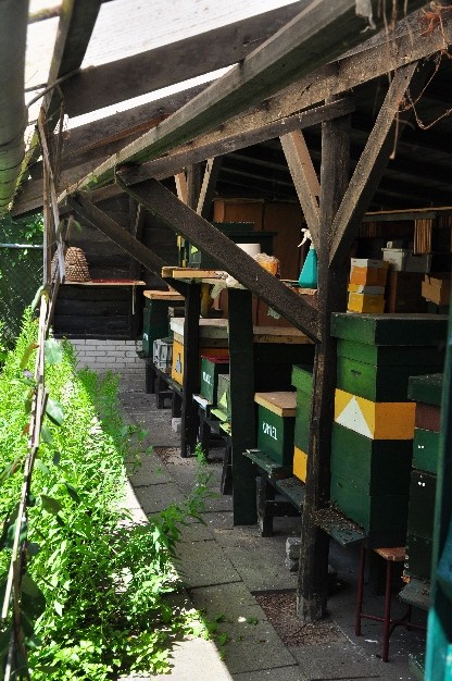 bijen houden