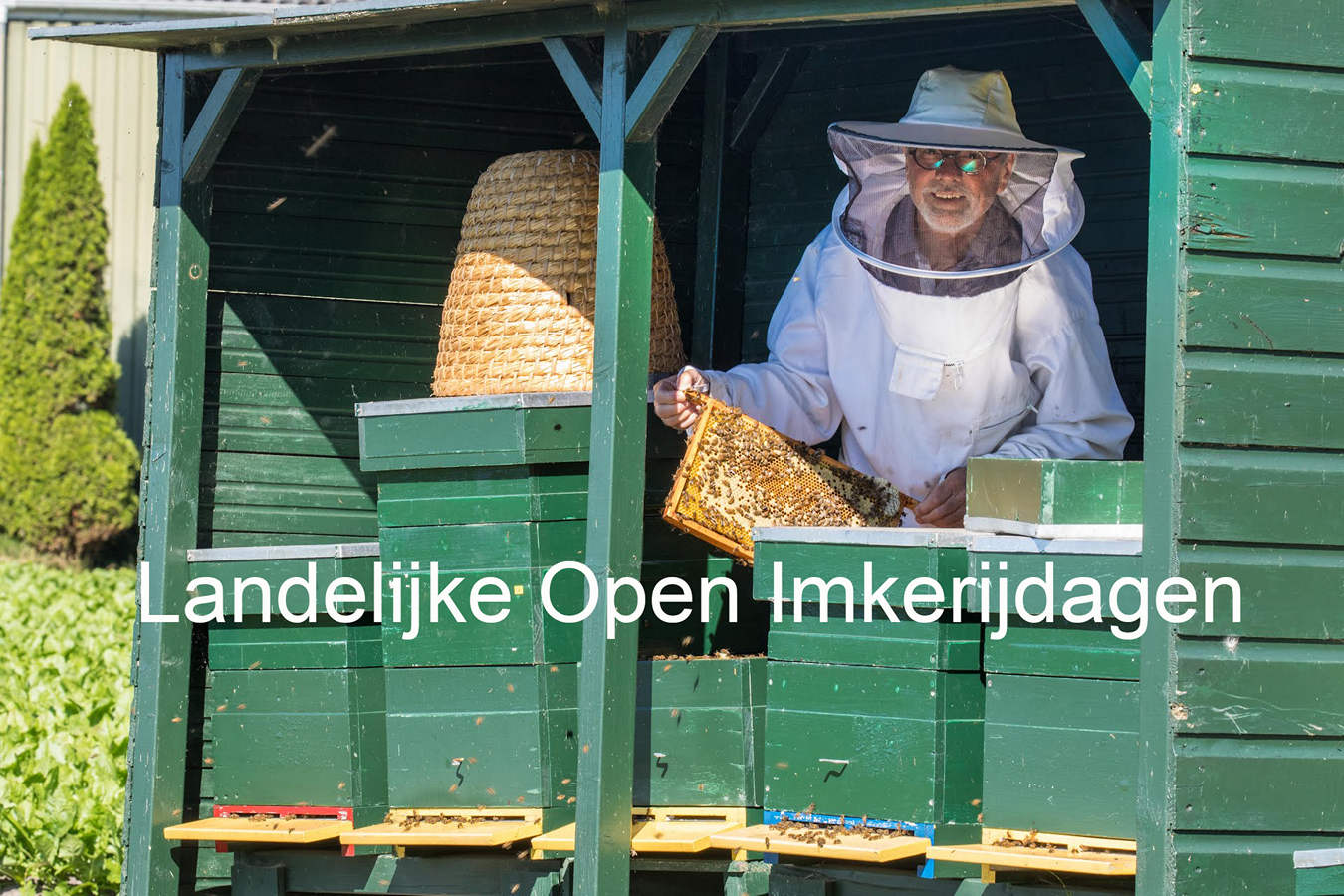 Advertentie open imkerijdag 2026