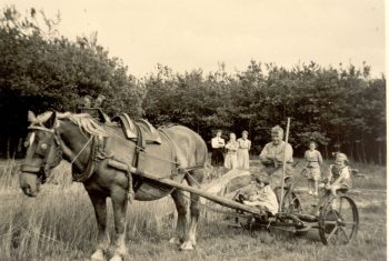Gebruikt voor homepage carrousel